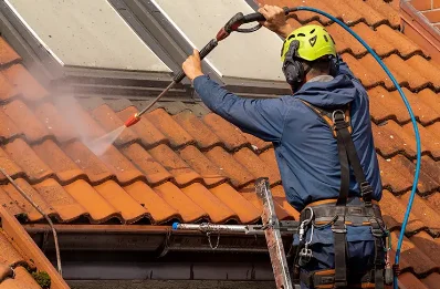 Démoussage et hydrofuge de toiture à Rodome